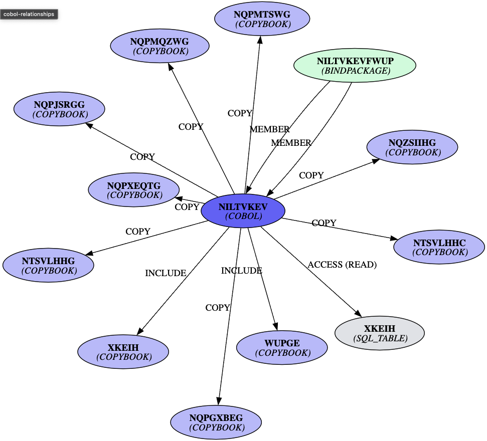 Figure 9. A filtered view of COBOL relationships
